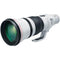 Canon EF 600mm f/4L IS III USM