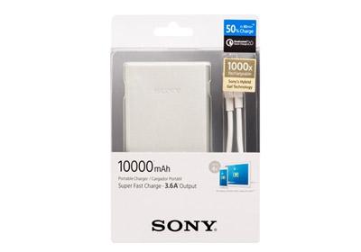 Sony portable charger CP-R10